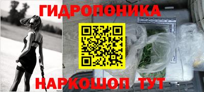 ALPHA PVP Камышлов