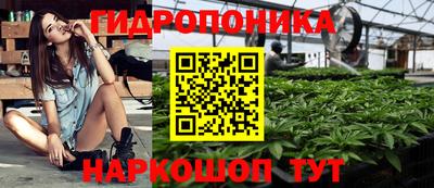 ALPHA PVP Камышлов