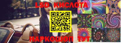 ГАЛЛЮЦИНОГЕННЫЕ ГРИБЫ Кандалакша